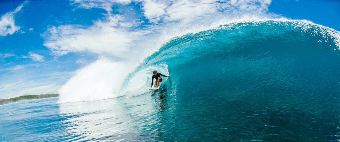 Ride The Waves and Search for the Ultimate Surf