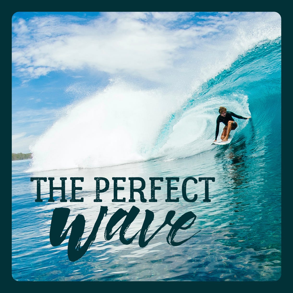 The Perfect Wave - Riding the Waves Logo Design