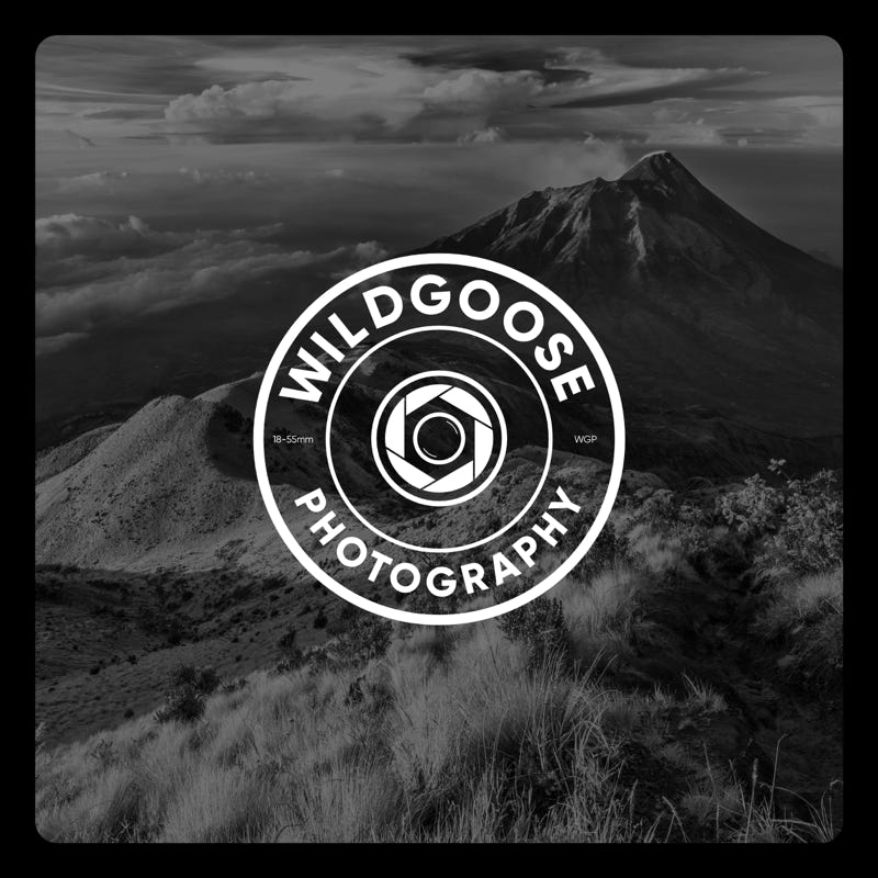 Wildgoose Photography Logo Design